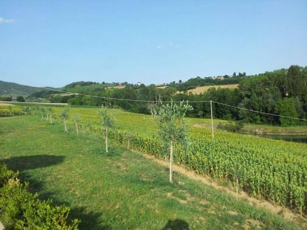 Agriturismo La Collina Del Sole Coltavolino Экстерьер фото